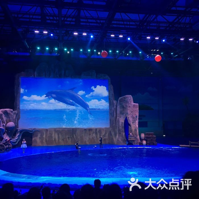驼铃传奇秀图片 - 第1张