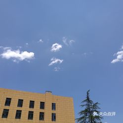 西羊市人口_西条高人图片