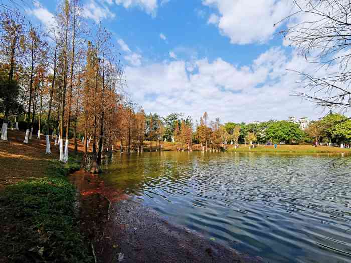 番禺大夫山森林公园旅游区