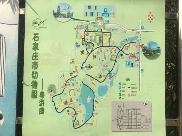 石家庄动物园"不知道为啥想说品类齐全,乃上上品原谅我.