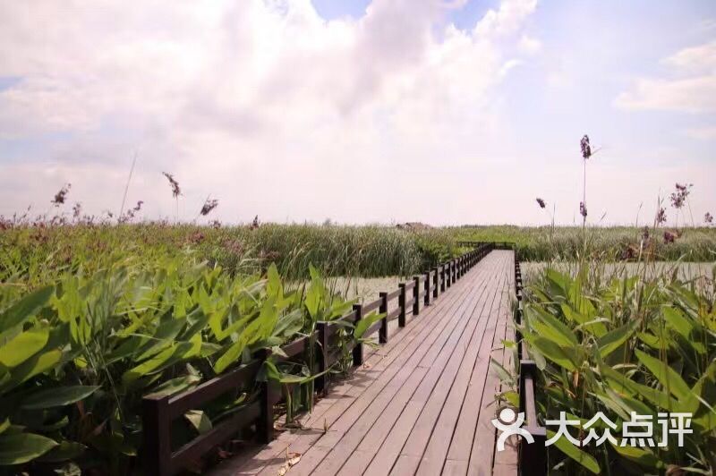 杭州湾国家湿地公园-图片-慈溪周边游-大众点评网