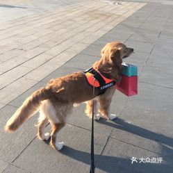 哪里的大学可以带宠物 cgQUdITrJn5Dzx9Ddn3TIYOUak1iW5abJ6BjV5KxnN_gkfyTpNExfNG5CEPQX4pjuzFvxlbkWx5uwqY2qcjixFEuLYk00OmSS1IdNpm8K8twhW7bzr4O88Ivp4FuDG0SfCF2ubeXzk49OsGrXt_KYDCngOyCwZK-s3fqawWswzk.jpg