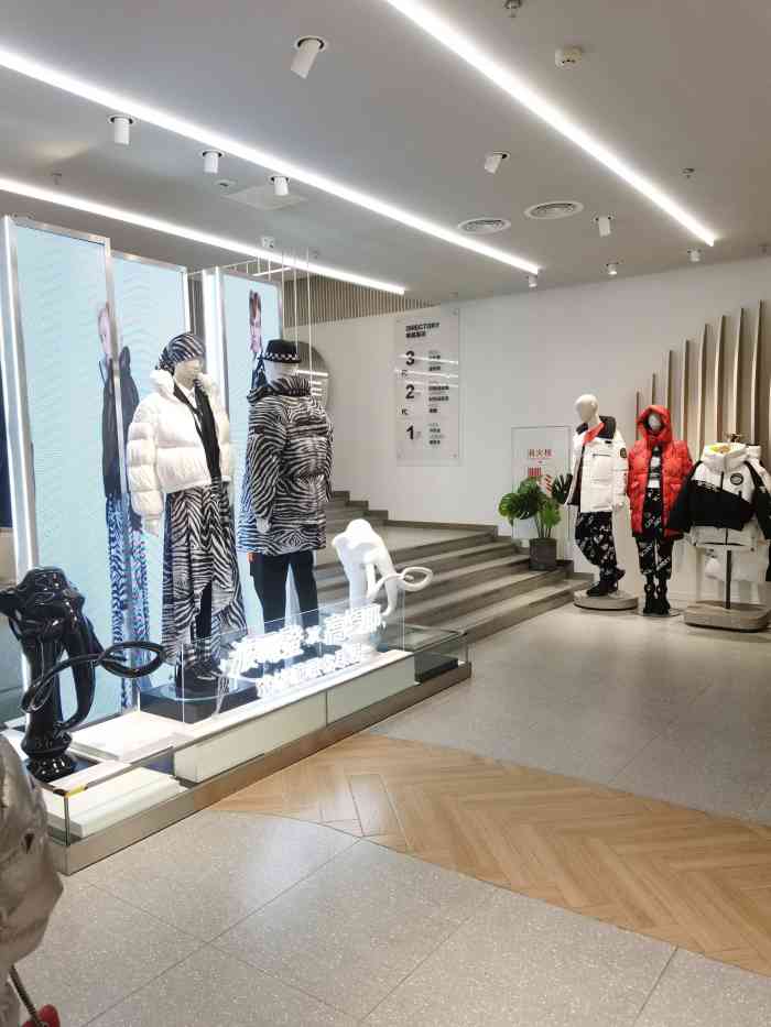 波司登(春熙路旗舰店)-"那天想去买件波司登的wifi服