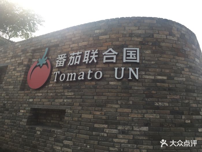 金福艺农番茄联合国图片 第12张