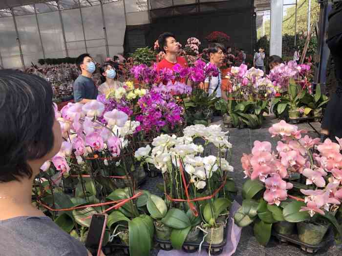 广州花卉博览园(龙溪大道店)