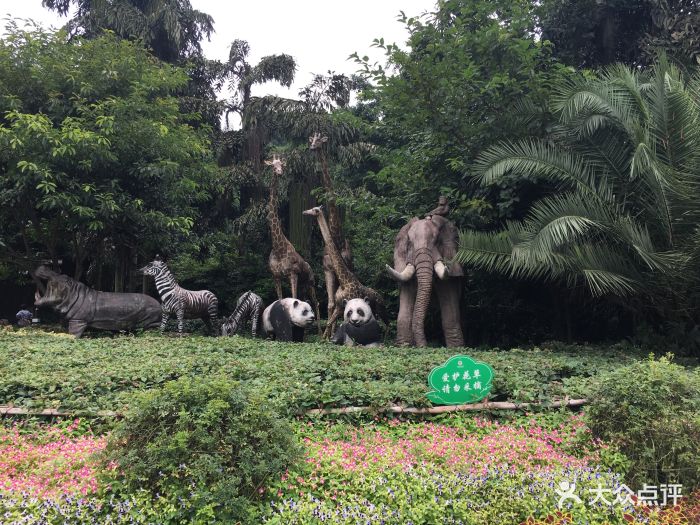 重庆动物园图片 - 第3张
