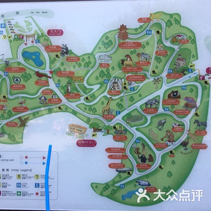 红山森林动物园图片-北京动物园-大众点评网