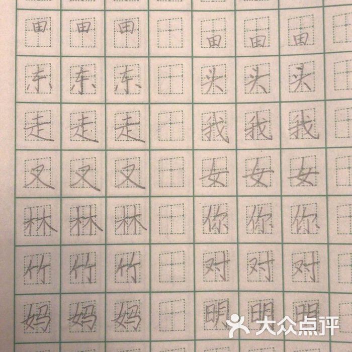 赵汝飞练字硬笔书法