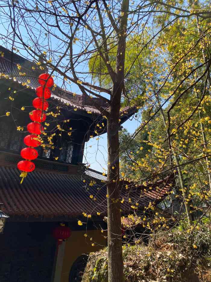 超山青莲寺-"超山青莲寺位于杭州余杭区超山风景名胜区.