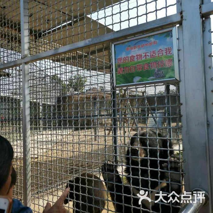 爱保野生动物世界图片-北京动物园-大众点评网