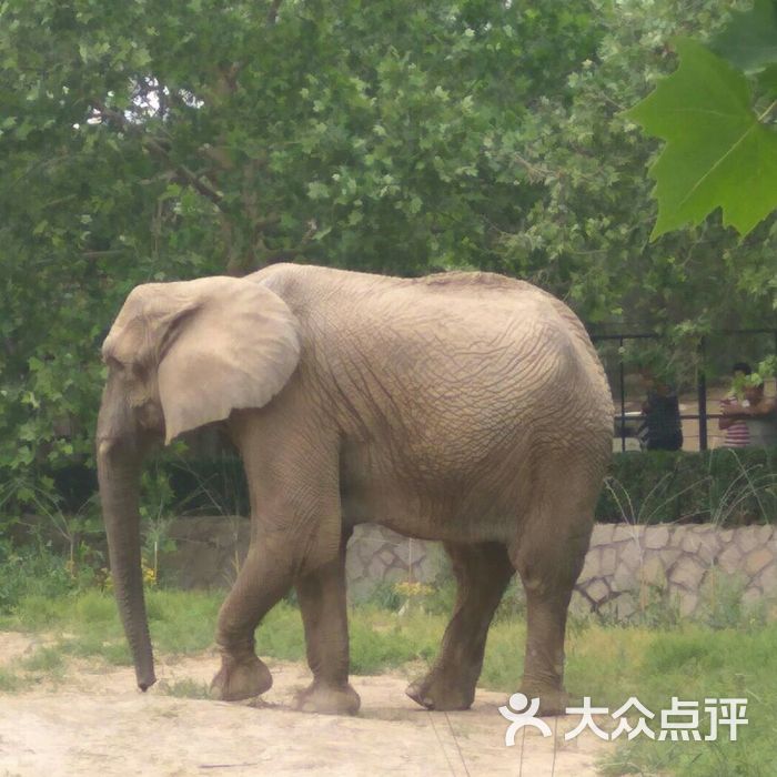 北京动物园