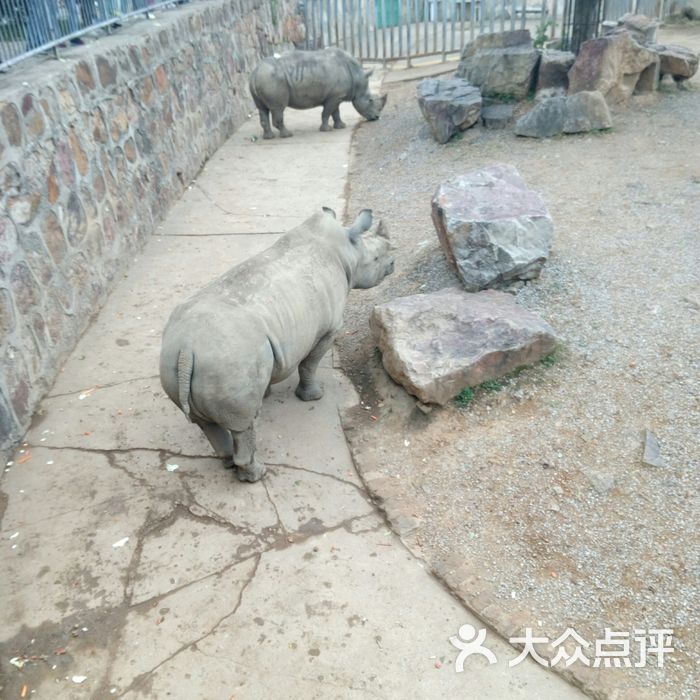 无锡动物园·太湖欢乐园