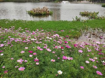 绿岛湖(地铁站)