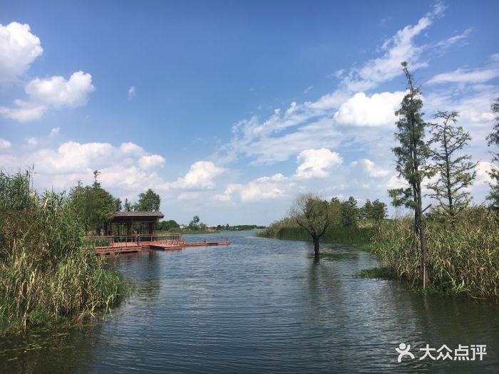 贡湖湾湿地公园图片 - 第7张
