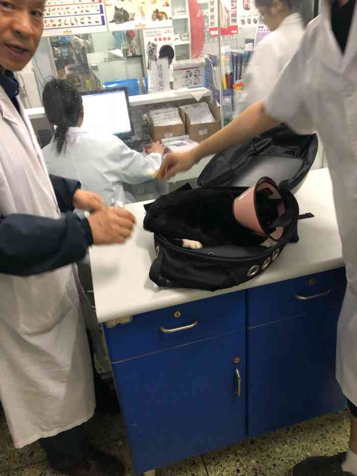 西南民族大学动物医院