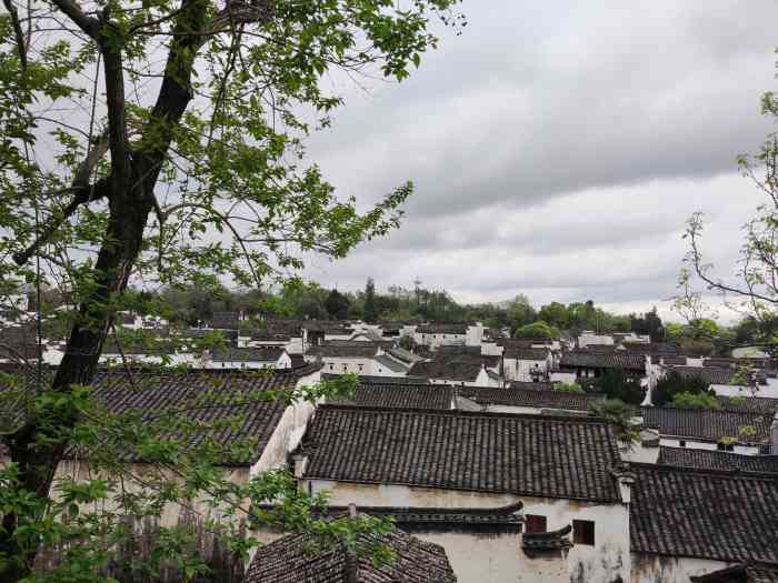 诸葛八卦村景区