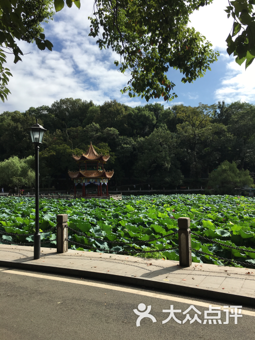 莲花塘市委宿舍图片 第9张