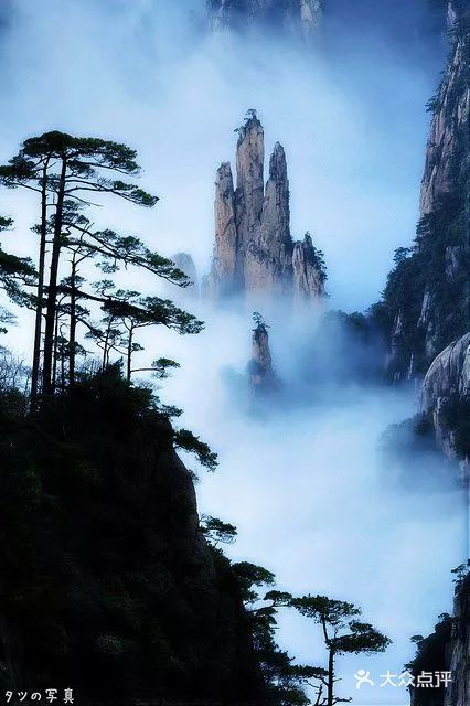 这次五一节,安徽黄山风景区再现大面积云海景观