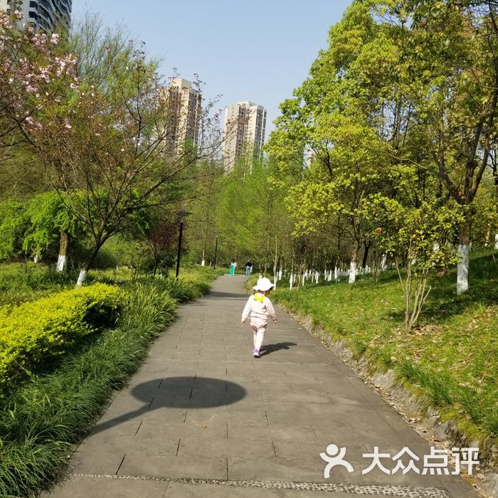 重庆彩云湖国家湿地公园