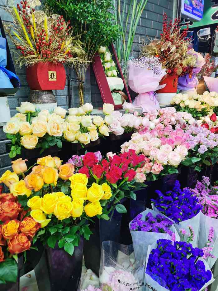 宝丰花鸟市场(卜蜂莲花店)-"三林一带仅存的一家花鸟.