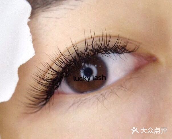 lucky lash 美睫睫毛嫁接图片