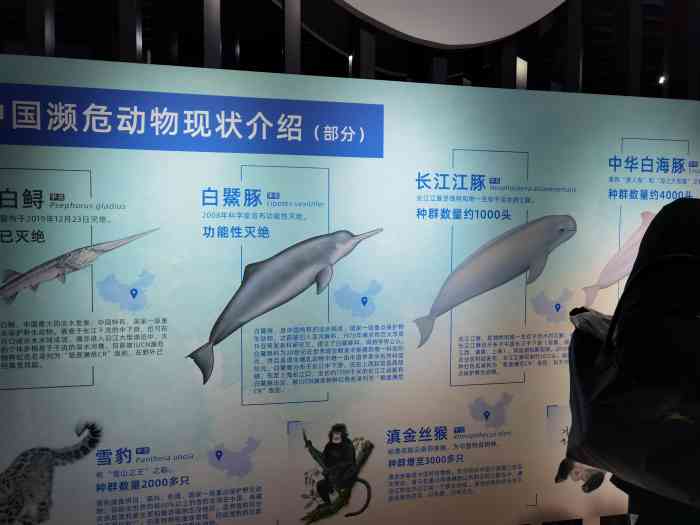 长江江豚科教中心-"在江心洲的介绍江豚的科教中心,带