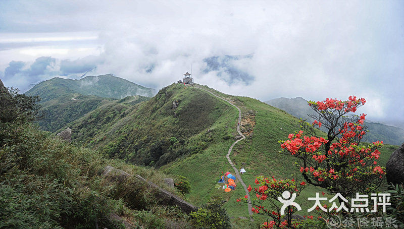 姑婆山森林公园图片 第1张