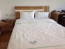 南方科技大学教师公寓怎么样,好不好的默认点