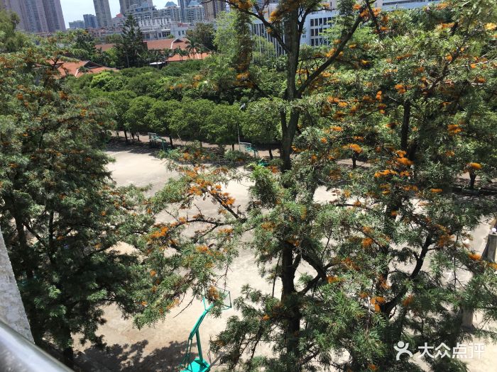 福建医科大学室外篮球场图片 - 第5张