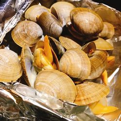 乌龟吃什么食物长的快 d-YNf4gJRBzxajmP301V7LXvCO4hXZj8afCQHRhCdmTvUPc0uvPZgapcPaIAQB27F5u7J_jS4MuCaeLAHD0KTg.jpg