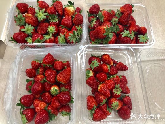 【万胜围草莓园】电话_地址_价格_营业时间_