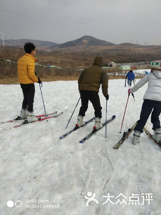 山泰生态园滑雪场-图片-文登区周边游-大众点评网