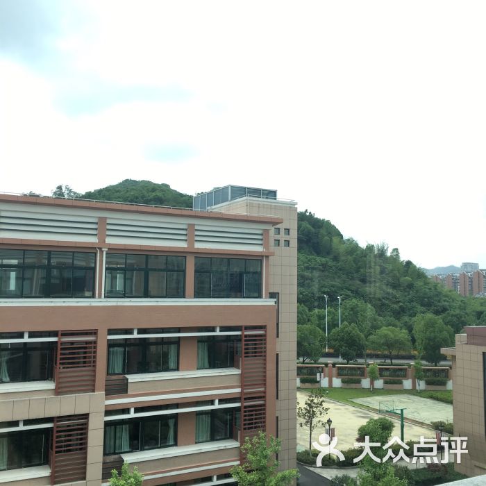 九龙学校-图片-温岭市学习培训-大众点评网