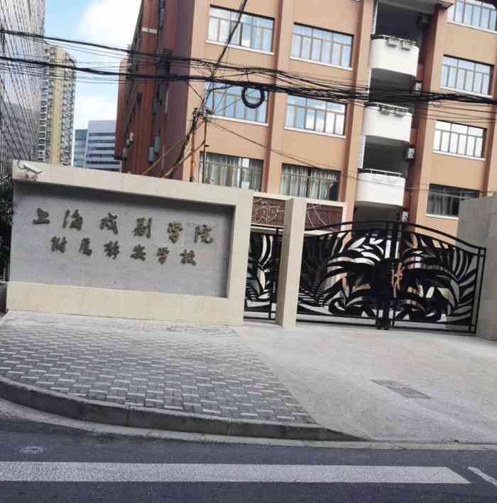学校改名了,戏剧是特色,聘请了上海戏剧学院有经验的老师来指教教学