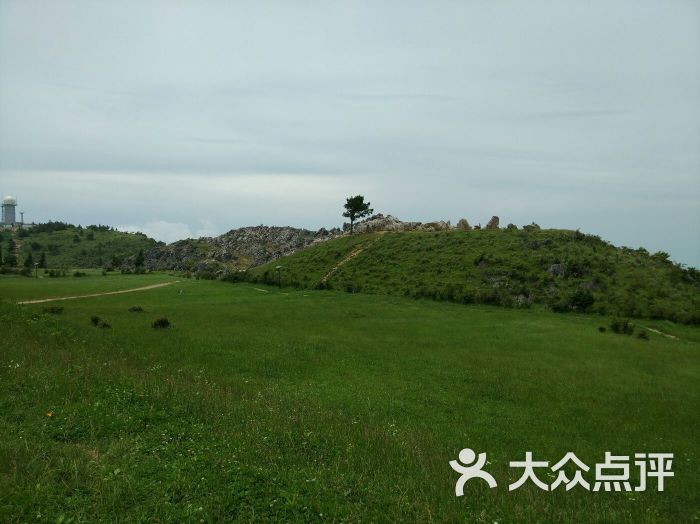 千野草场景区图片 第52张