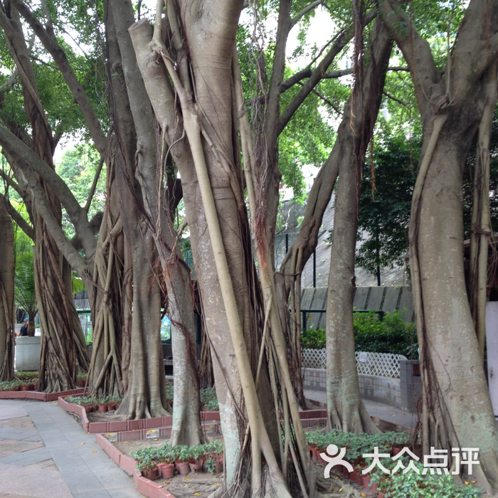 湾仔公园图片-北京公园-大众点评网