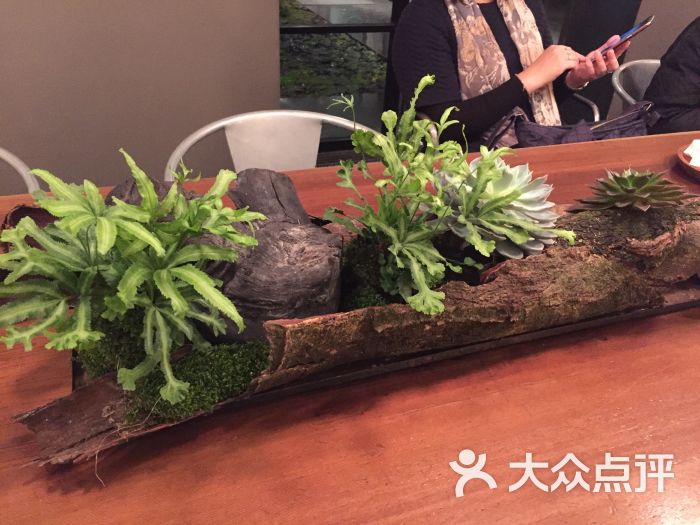 微热山丘 大众点评