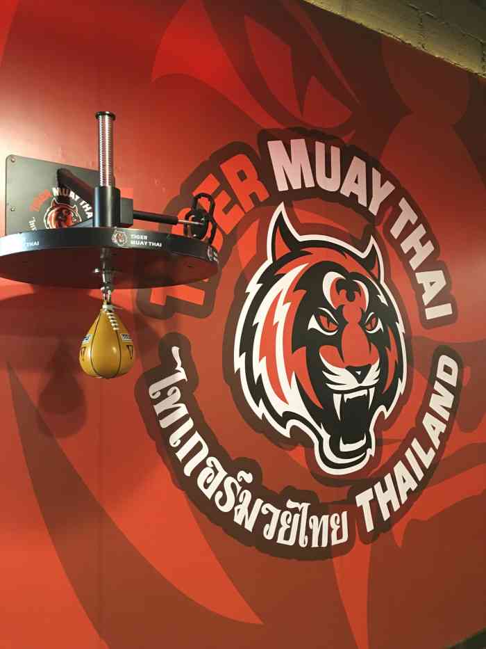 tiger muay thai 老虎泰拳综合格斗