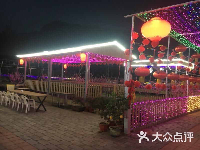 聚友家园农家院