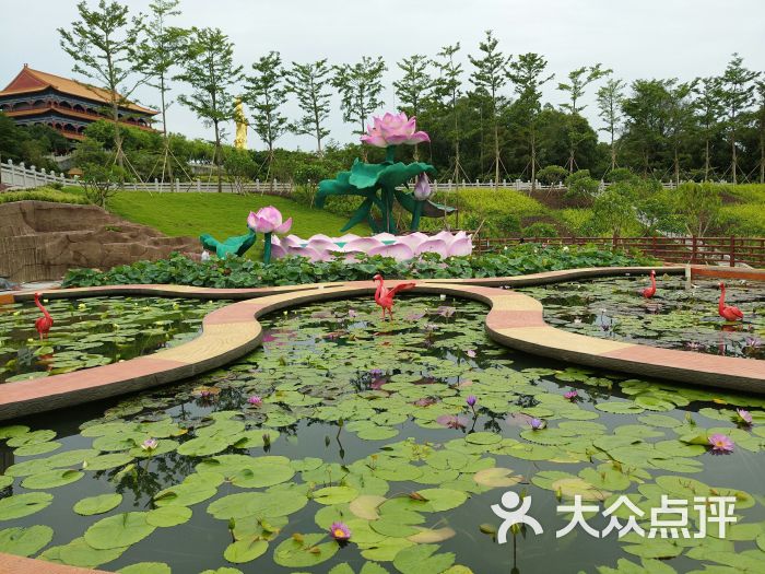 番禺莲花山旅游区-图片-广州周边游-大众点评网