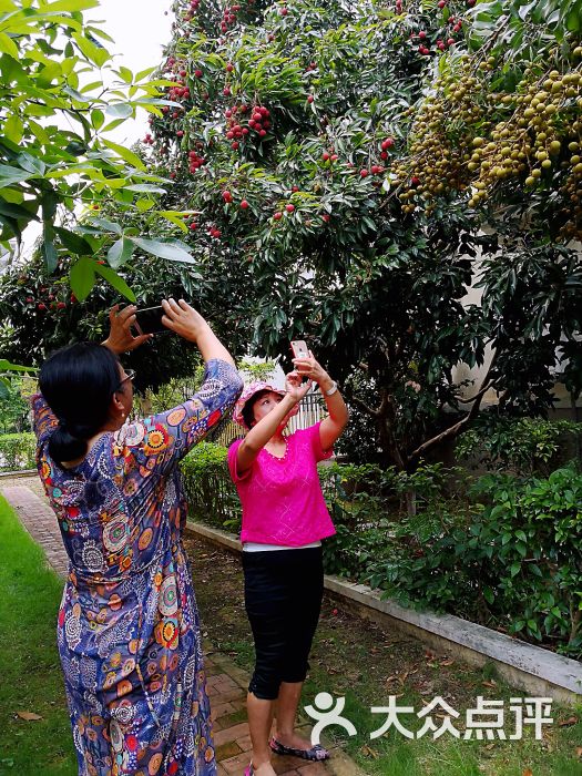 端午节时同朋友出去吃中午饭,话渠同学系个.