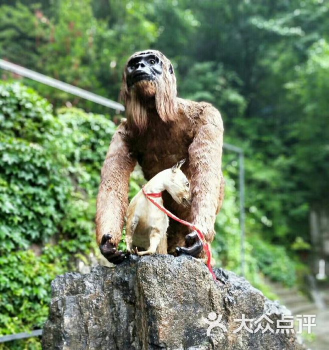 野人洞风景区图片 第1张