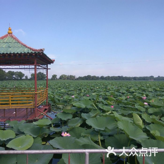 沈阳仙子湖