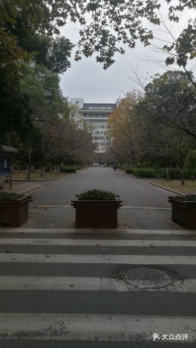 南京林业大学图片 - 第7张