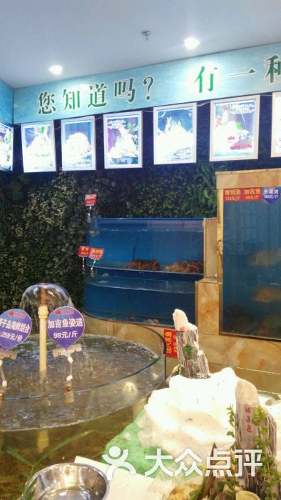 海龙海鲜舫_大连万宝海鲜舫老板_蒋记海鲜舫