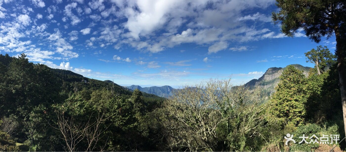 阿里山国家风景区图片 第785张