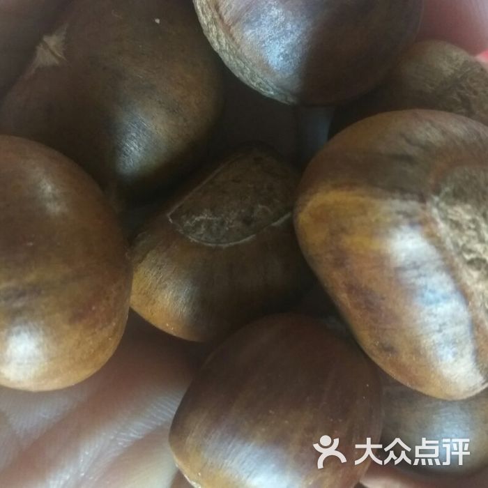 野栗王