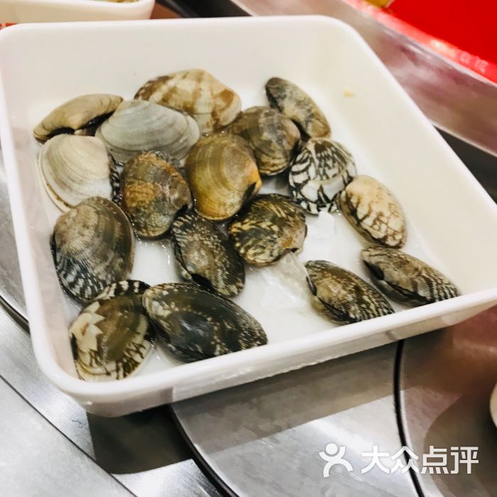 龙歌自助回转火锅(卓越大融城店)蛤蜊图片 第5张