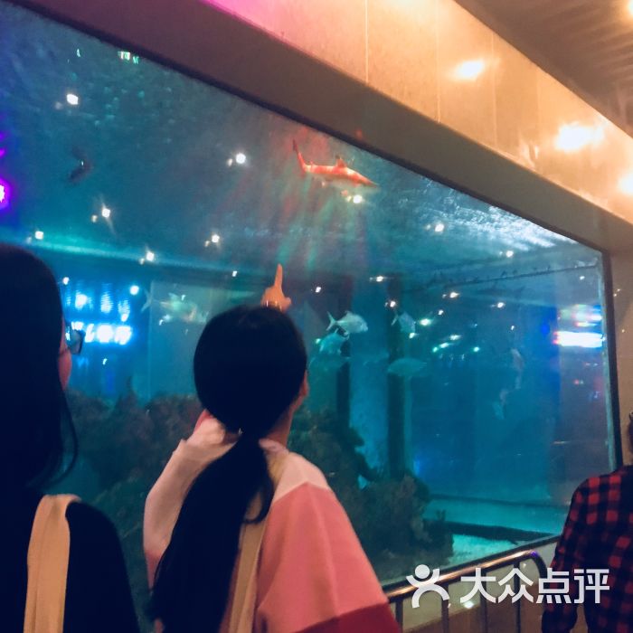 火舞日式和牛烧肉(鎏嘉码头店)图片 - 第5张