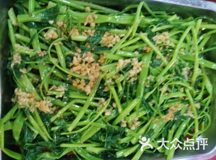 博白空心菜